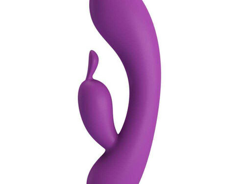 Pretty Love Grace Vibrator Purple