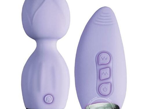 Μίνι Δονητής Μασάζ Με Τηλεχειριστήριο - Intense Dual Vibe Kit 2